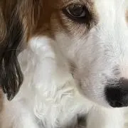 mofmofの画像