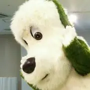 ヨッシーの画像