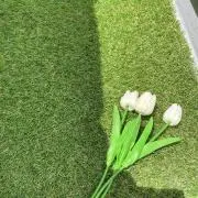 yの画像