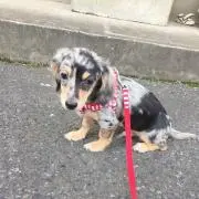 なおの画像