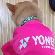 貴子
