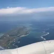 seeaの画像