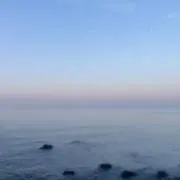 kwsmの画像