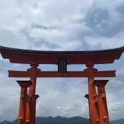 SSRの画像