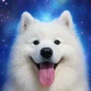 ♡の画像