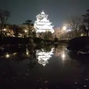 わたっこ