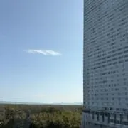 ちーの画像