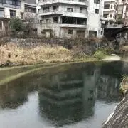 まるくん