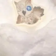 もこ子断捨離中の画像