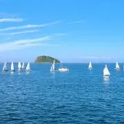 HALの画像