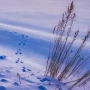 ほへーの画像