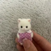 rの画像