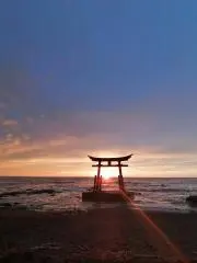 yuukiの画像