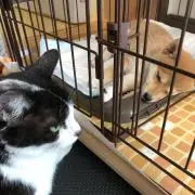 Mico プロフ必見の画像