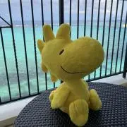 ハルの画像