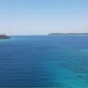 ゆいの画像