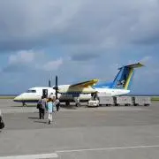 manta