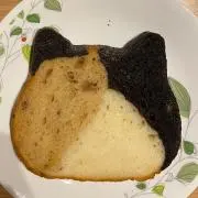 ねこの画像