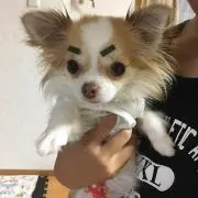 ゆう