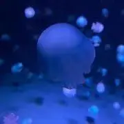 あいうえおの画像