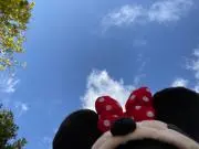 すずの画像