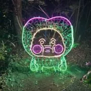 鎖骨の画像