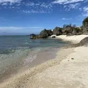なおの画像