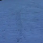 AKOの画像