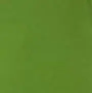 めるめる