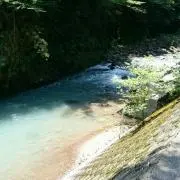 Timtim プロフ確認お願いしますの画像