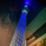 ポコの画像