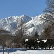 ぎんの画像
