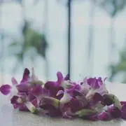 LKNの画像