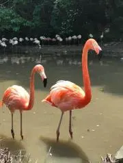 meeeの画像