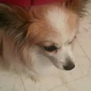 マリリン