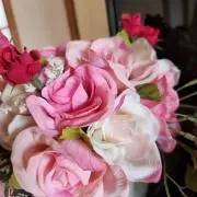ティノSHOP✴️開設セール中✴️の画像