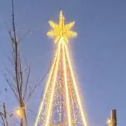 あいすの画像