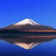 ポルカさんの画像