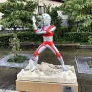 ®️の画像