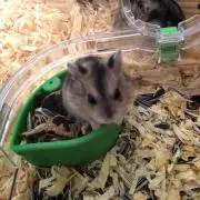 たっちゃん
