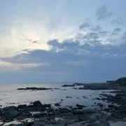 Yoshiの画像
