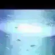 ７日午後確認発送等(なかやまの画像