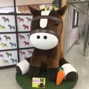 ハイチーズの画像