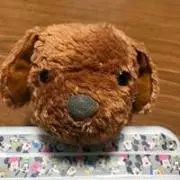 ぷーママの画像