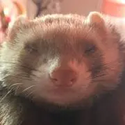 あやか