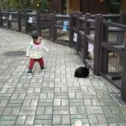 りんご