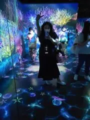 Glykaの画像