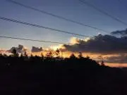 Natの画像