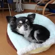 プロフィール必ずみてねルナの画像