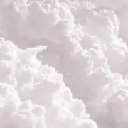 さくてぃん‎   -プロフィール必読‎-の画像